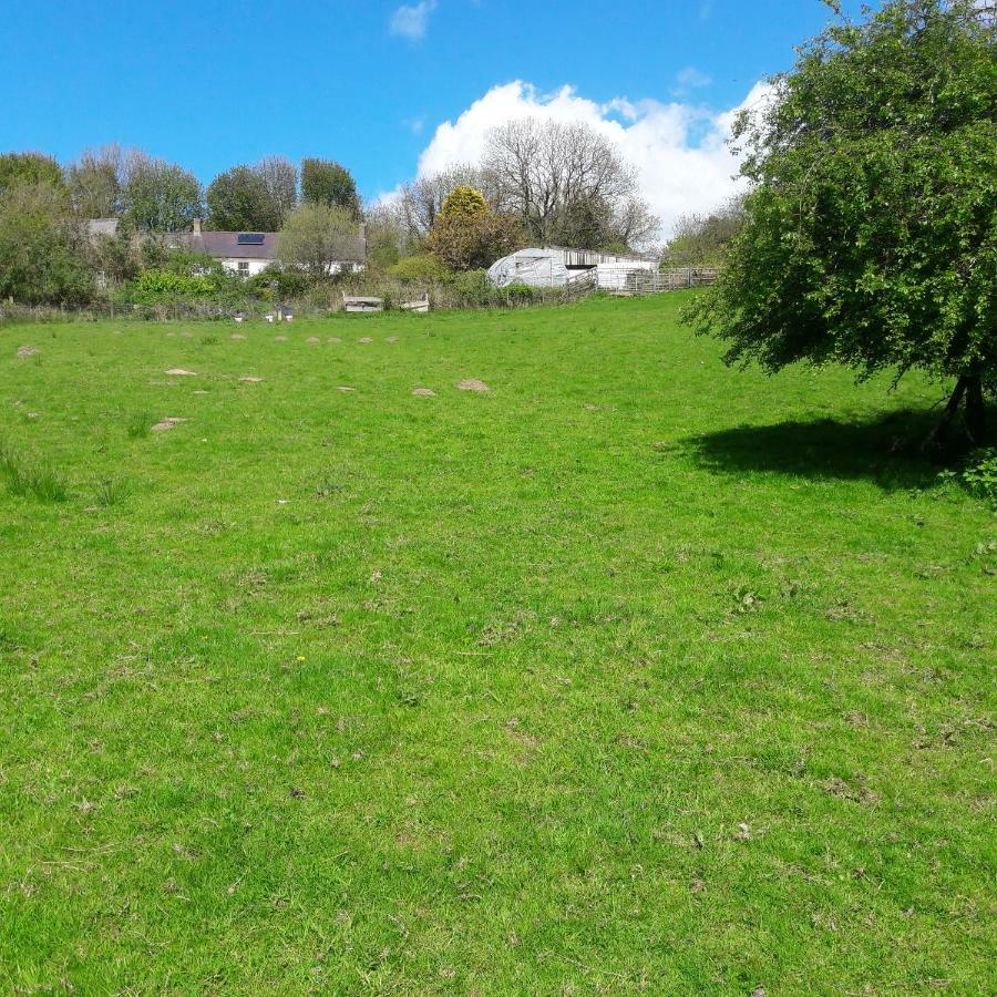 Gernos Farmhouse Llandysul Zewnętrze zdjęcie